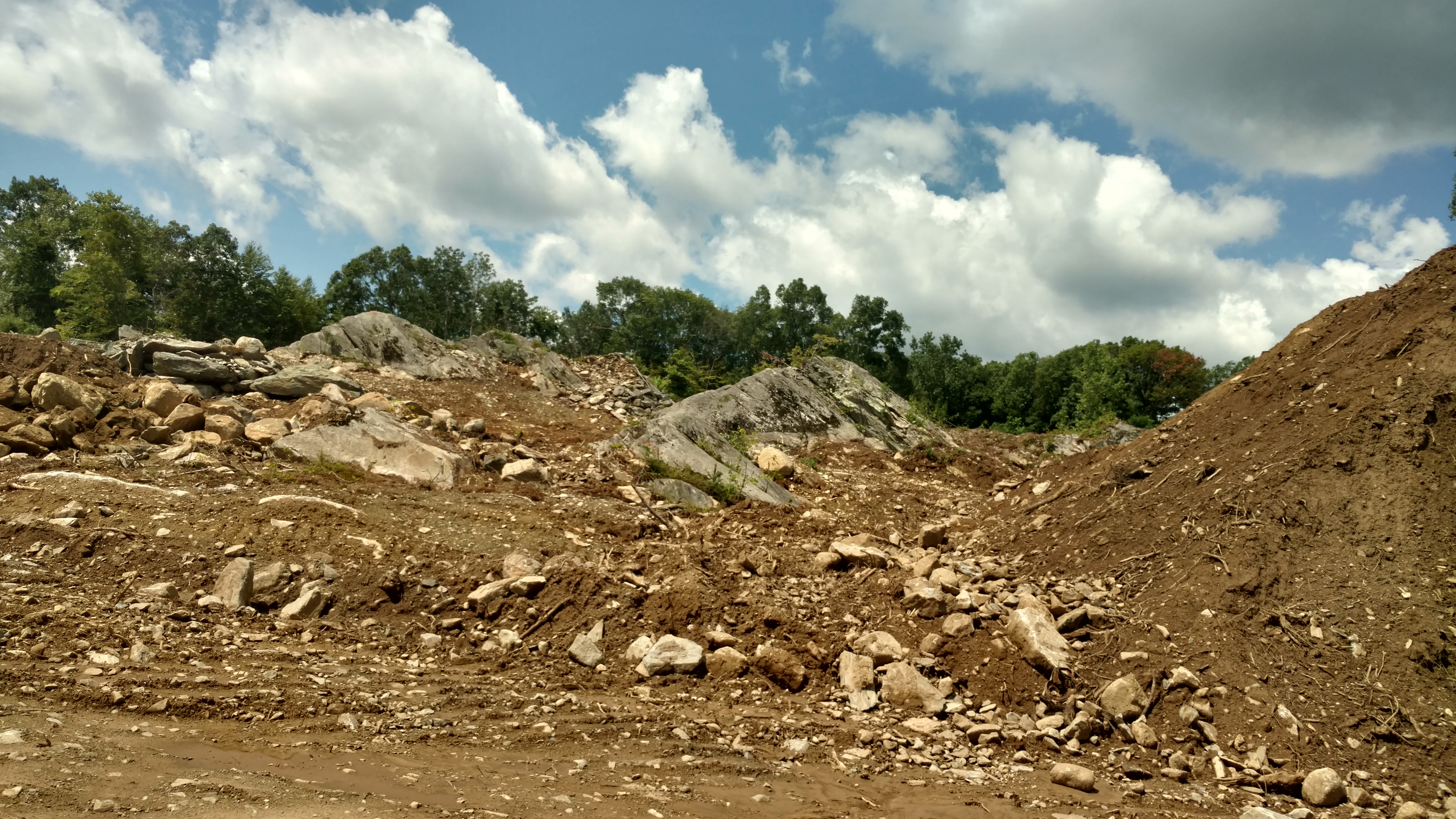 New Wegmans Food Market - West Harrison, NY project photo 2